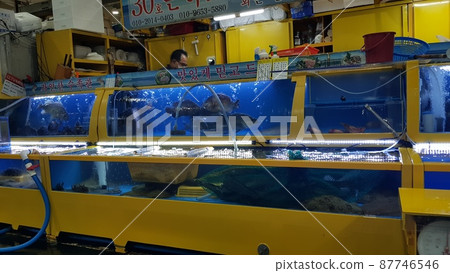 Jarasum Island. Daebudo Island. Architecture 87746546