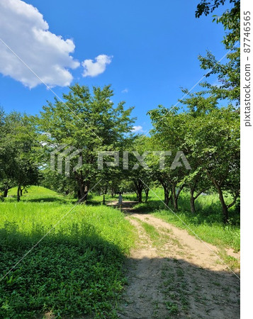 Jarasum Island. Daebudo Island. Architecture 87746565