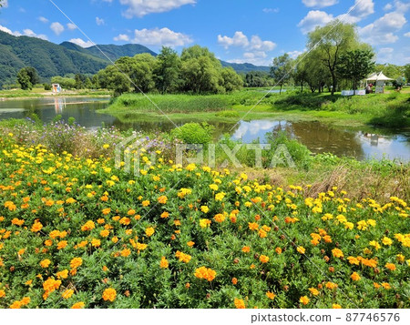 Jarasum Island. Daebudo Island. Architecture 87746576