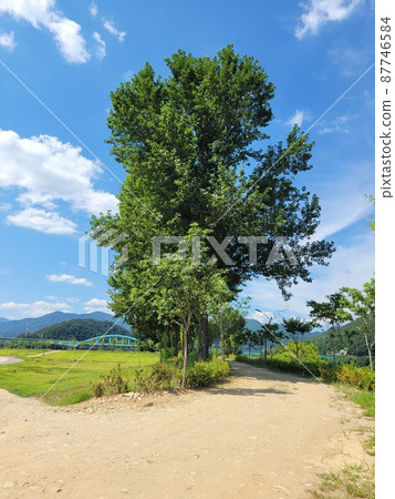 Jarasum Island. Daebudo Island. Architecture 87746584