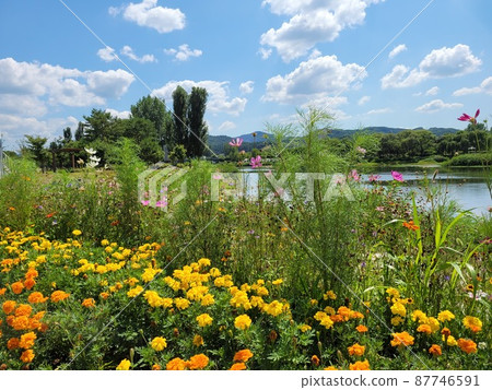 Jarasum Island. Daebudo Island. Architecture 87746591