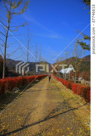 Jarasum 島. 大富島. 建築 87746618