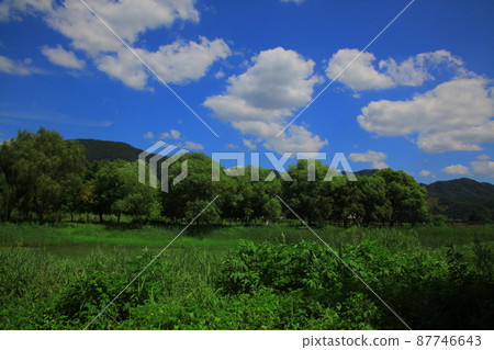 Jarasum 島. 大富島. 建築 Jarasum 島. 大富島. 建築 87746643