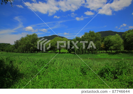 Jarasum Island. Daebudo Island. Architecture 87746644