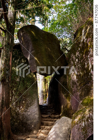 Benkei returning to Seven 87747036