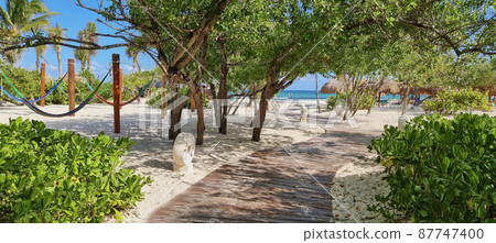 road in paradise to a beach in the caribbean 87747400