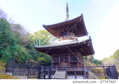 [瀨戶內33觀音聖地]岡山縣岡山市中區安住院12號太保3 87747887