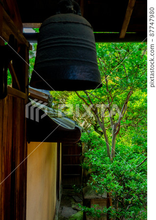 Photographing the fresh green of Ikkyuji Temple in Kyotanabe City, Kyoto Prefecture Photographing the fresh green of Ikkyuji Temple in Kyotanabe City, Kyoto Prefecture 87747980