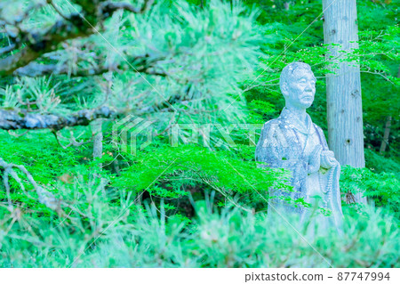 拍攝京都府京田邊市一休寺的新鮮綠色 87747994