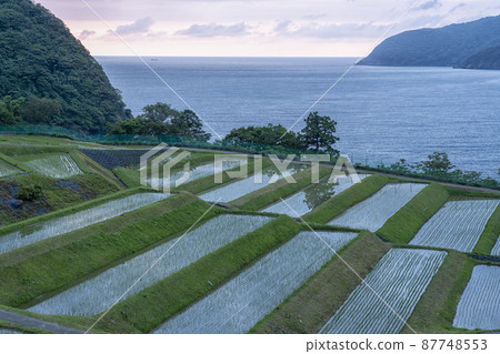 Rice terraces taken in Tagarasu, Obama City, Fukui Prefecture Rice terraces taken in Tagarasu, Obama City, Fukui Prefecture 87748553