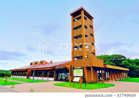 來路之森 87749689