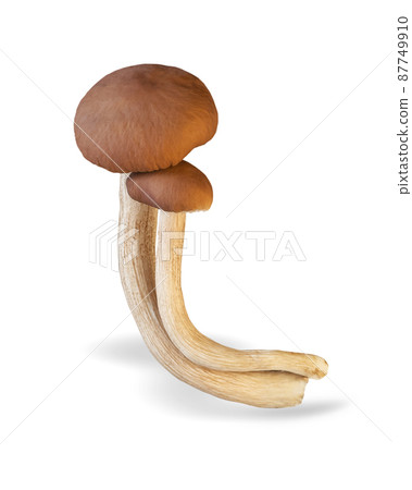 Enoki mushroom isolated on white background. H Enoki mushroom isolated on white background. H 87749910