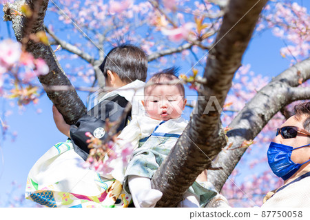 Family photo cherry blossom viewing 87750058