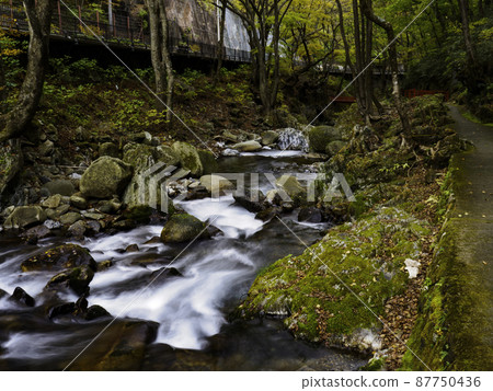 Promenade along the river 87750436