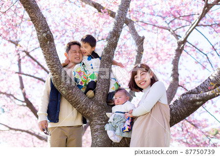 Family photo Hanami 753 celebration 87750739