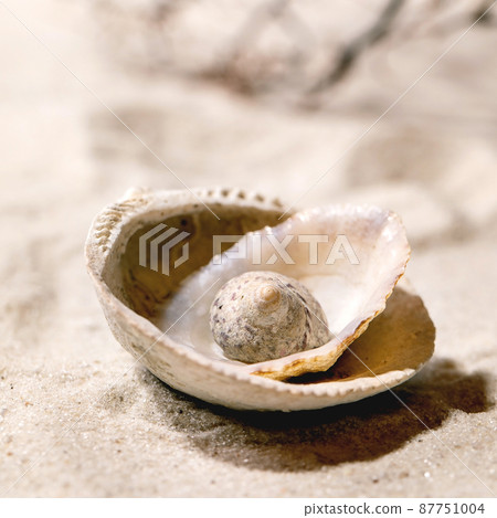 Summer sand sea beach with waves and seashell 87751004