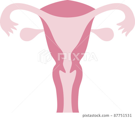 Womb illustration Womb illustration 87751531