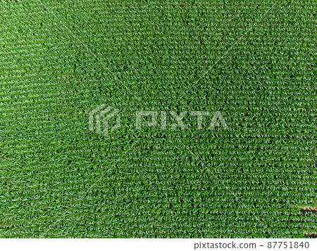 Aerial View of Corn Field 87751840