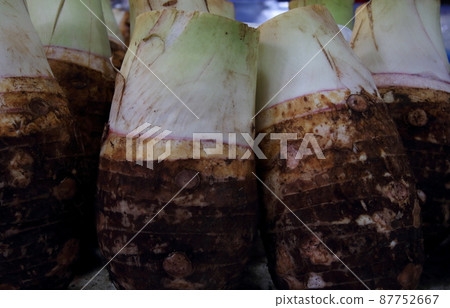 Bulb of taros. 87752667