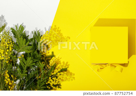 Bright yellow gift box with ribbon bow, mimosa on yellow and white background top view copy space. Birthday present, March 8, Mothers Day, Valentines Day, Easter or spring concept. 87752754