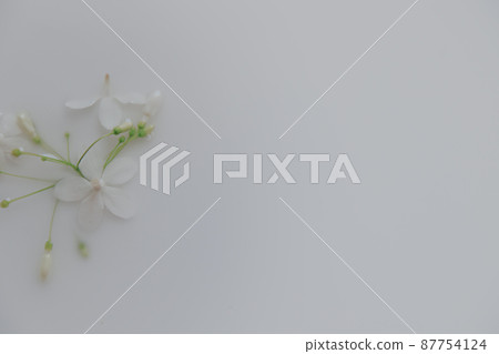 Delicate white flowers in a therapeutic milk bath to show concept of  sustainable comfort and tranquility of the Springtime 87754124