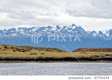 Mount Martial from Beagle Channel - Tierra del Fuego - Argentina Mount Martial from Beagle Channel - Tierra del Fuego - Argentina 87754344