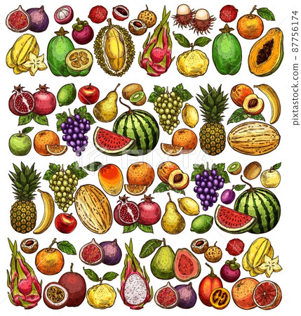 Farm and garden fruits sketch background, vector hand drawn food. Sketch apple, pineapple and orange, tropical papaya, exotic banana, mango and pear, peach with watermelon, grape and melon harvest 87756174