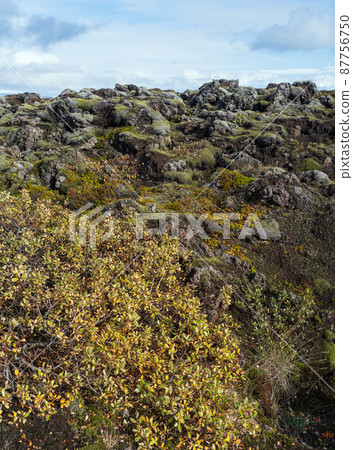 Scenic autumn green lava fields near Fjadrargljufur Canyon in Iceland. Green moss on volcanic lava stones. Unique lava fields growth after Laki volcano eruption. Scenic autumn green lava fields near Fjadrargljufur Canyon in Iceland. Green moss on volcanic lava stones. Unique lava fields growth after Laki volcano eruption. 87756750