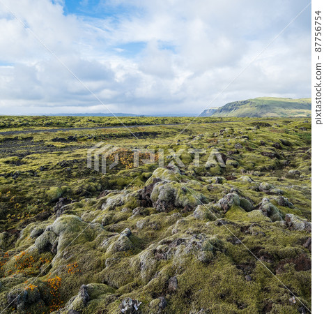Scenic autumn green lava fields near Fjadrargljufur  Canyon in Iceland. Green  moss on volcanic lava stones.  Unique lava fields growth after Laki volcano eruption. 87756754