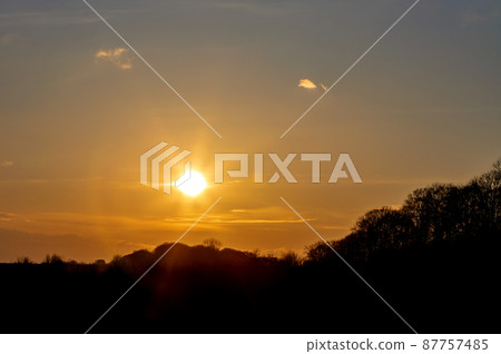 Evening trees at sunset, wonderful romantic evening. Evening trees at sunset, wonderful romantic evening. 87757485
