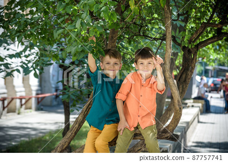Two white brother boy sits on a tree in bright casual clothes. Summer walk around the city. Tourism and travel concept Two white brother boy sits on a tree in bright casual clothes. Summer walk around the city. Tourism and travel concept 87757741