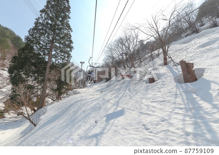 [Skijo] 胎內滑雪和單板滑雪（新潟縣胎內市） 87759109