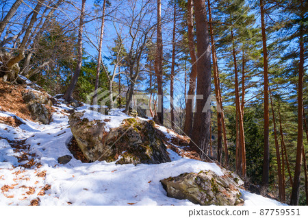 (Yamanashi Prefecture) Misaka Kurodake, clear sky and snowy mountain trail 87759551