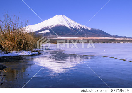 (Yamanashi Prefecture) A spectacular view of Mt. Fuji reflected in Lake Yamanaka in winter 87759609