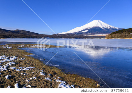 (Yamanashi Prefecture) A spectacular view of Mt. Fuji reflected in Lake Yamanaka in winter 87759621
