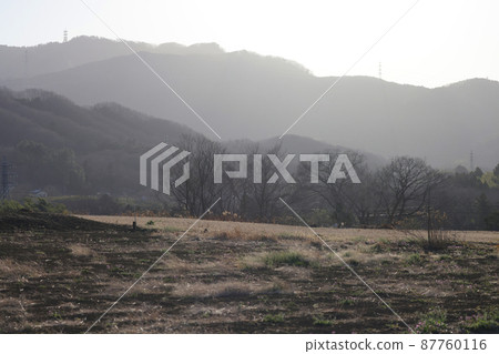 Satoyama landscape haze with pollen Satoyama landscape haze with pollen 87760116