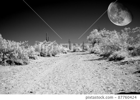 Desert Moon Desert Moon 87760424
