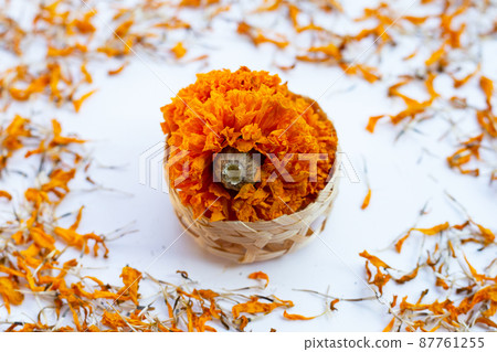 Dried petals of marigold flower 87761255
