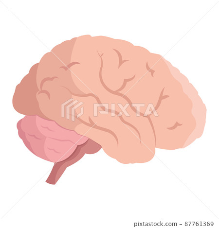 Isolated human brain icon flat design Vector - Stock Illustration ...