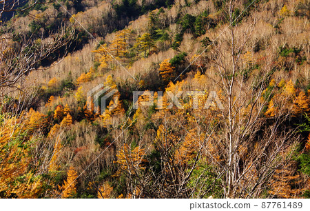 Autumn scenery along the Oku Kinurin Road in Nikko Autumn scenery along the Oku Kinurin Road in Nikko 87761489