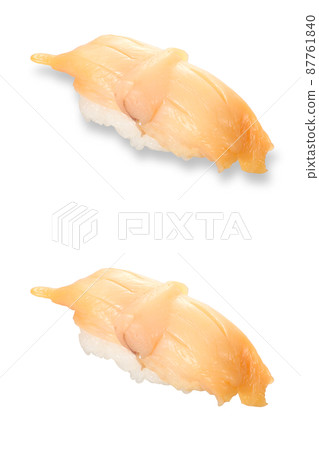 壽司方舟殼影蟻影梨 87761840