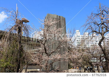Yushima Tenjin Shrine Ume Ume Matsuri Yushima Tenmangu Yushima Shrine, commonly known as Yushima Tenjin, Yushima, Bunkyo-ku, Tokyo 87762016