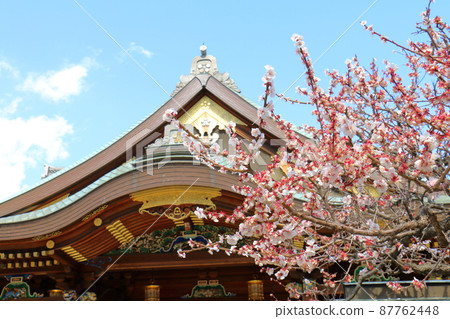 湯島天神社梅梅祭湯島天滿宮湯島神社,俗稱湯島天神,湯島,文京區,東京 湯島天神社梅梅祭湯島天滿宮湯島神社,俗稱湯島天神,湯島,文京區,東京 87762448
