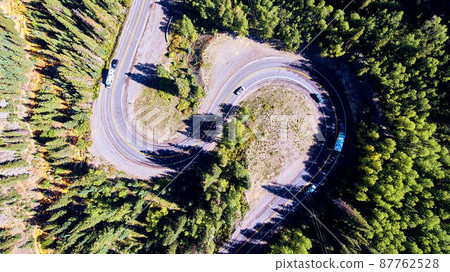 Pine tree forest with curving road down mountain 87762528