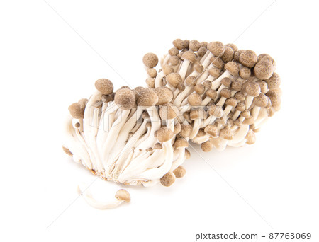 Shimeji mushroom isolated on white background Shimeji mushroom isolated on white background 87763069