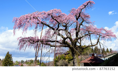 Zanchura Jizo Jikanji福島縣 87763152