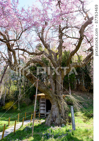 Zanchura Jizo Jikanji Fukushima Prefecture 87763469