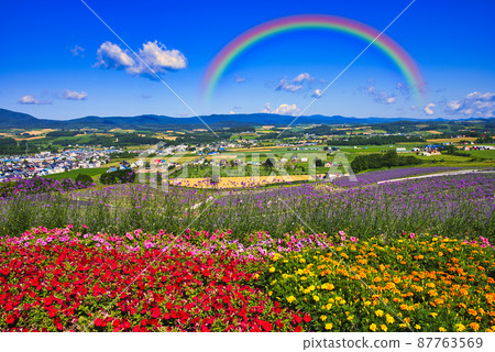 Beautiful flower garden in Furano 87763569
