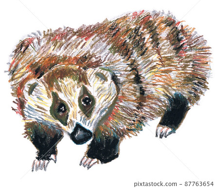 Japanese black badger 87763654