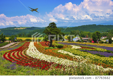 Beautiful flower field in Biei, a hill town 87763682